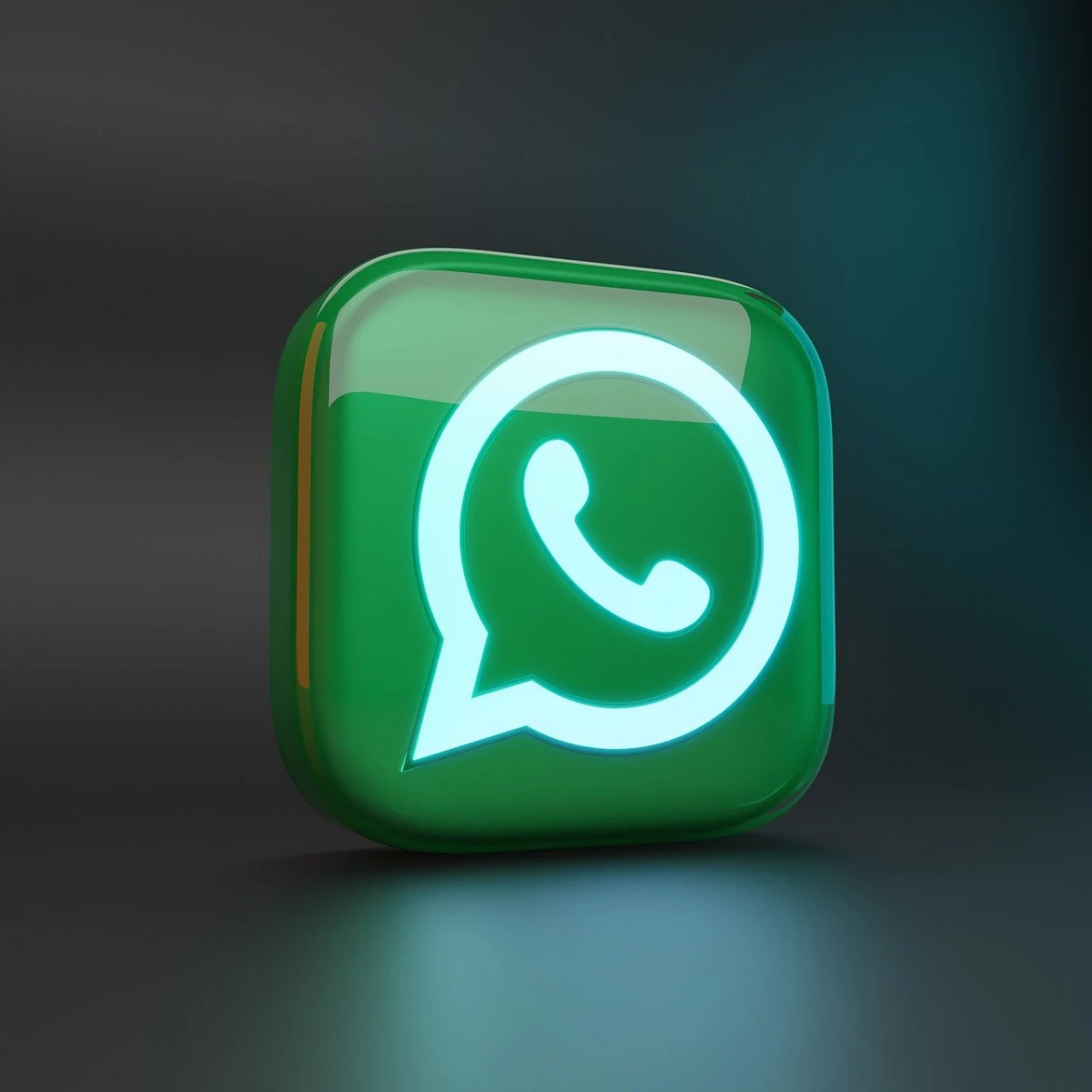 Prenotazione prodotti tramite telefono o whatsapp 